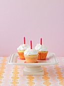 Three cupcakes with candles