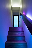 Stairway with wooden steps illuminated in coloured light looking towards a glass interior door