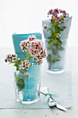 Flowering oregano in glasses as table decoration
