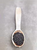 Beluga lentils on a wooden spoon
