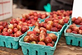 Gooseberries at a Farmer's Market in Baltimore, Maryland