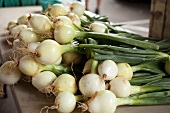 Onions at a Farmer's Market in Baltimore