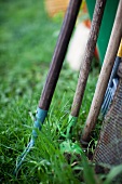 Various garden tools