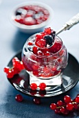 Champagne jelly with berries