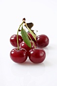 Sour cherries with a leaf