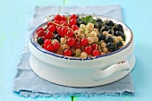 Redcurrants, whitecurrants and blackcurrants in a bowl