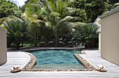 Swimming pool with wooden terrace surround in tropical garden