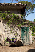 Junge liegt auf Schaukelbank vor alter Steinmauer
