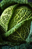 Savoy cabbage (close-up)