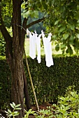 A washing line in a garden