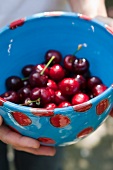 Hands holding a bowl of fresh cherries