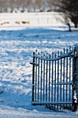 A snowy garden gate
