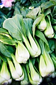 A stack of bok choy