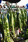 Beans at a market