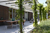 Dining area with long, rectangular wooden table below creeper-covered pergola, contemporary house with sliding shutters on glass walls