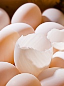 Fresh whole eggs and empty eggshell