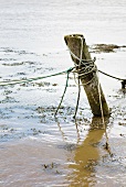 Wooden mooring post with ropes