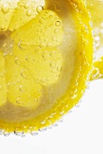 Zitronenscheiben im Wasser