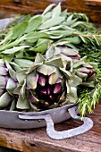 Artichokes, sage and rosemary in aluminium, baking dish on rustic garden table