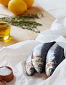Fresh Sardines on Parchment Paper with Salt, Lemon and Herbs