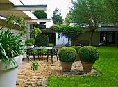 Buchsbäume im Tongefäss auf Terrasse vor Wohnhaus und Blick in Garten