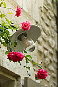 Outdoor lighting surrounded by flowers on a stone wall