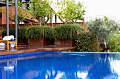 Knallblau gefliester Pool vor Terrasse und Blick in Garten