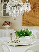Weisses Porzellantablett mit Grünpflanze und zwei griechisch inspirierten Kerzenständern unter einem Vintage-Kronleuchter