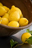 Mehrere Menton-Zitronen in Tonschüssel