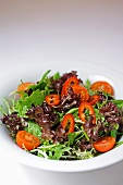 Mixed leaf salad with tomatoes and peppers
