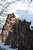 Snow-covered woodpile in a winter landscape