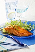 Marinated Salmon with Greens on a Blue Plate