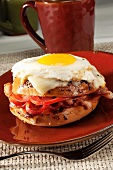Everything Bagel with Melted Cheese, Bacon, Egg and Tomato
