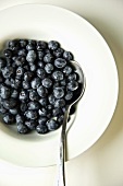 Fresh Blueberries in a White Bowl with a Spoon; From Above