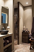 Designer bathroom with walls painted light grey and separate shower area