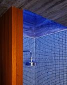 Blick in eine Dusche mit blauen Fliesen