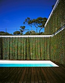 Terrace with swimming pool and closed curtains