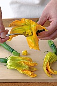 Stigma being removed from courgette flowers