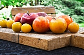 Red and yellow plums with mirabelles