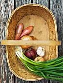 Assorted varieties of onions and garlic in a basket