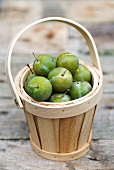 Greengages in a basket