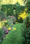 Flowering shrub beds next to lawn path with hedge arch in the garden