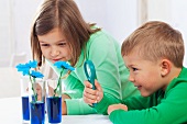 Two children looking at blue flowers in inky water