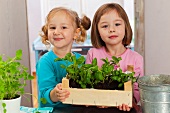 Zwei Mädchen zeigen Kiste mit eingepflanzten Basilikumpflanzen