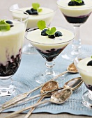 Blueberry compote with white chocolate cream