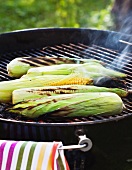 Corn on the cob on a barbecue