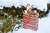 Christmas goody-bag with mistletoe, biscuits and apple