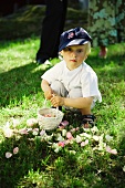 Kleiner Junge mit Korb und Rosenblütenblättern im Garten