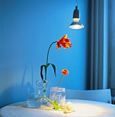 Flowers in vases on table under spotlight