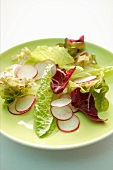 A mixed leaf salad with radishes